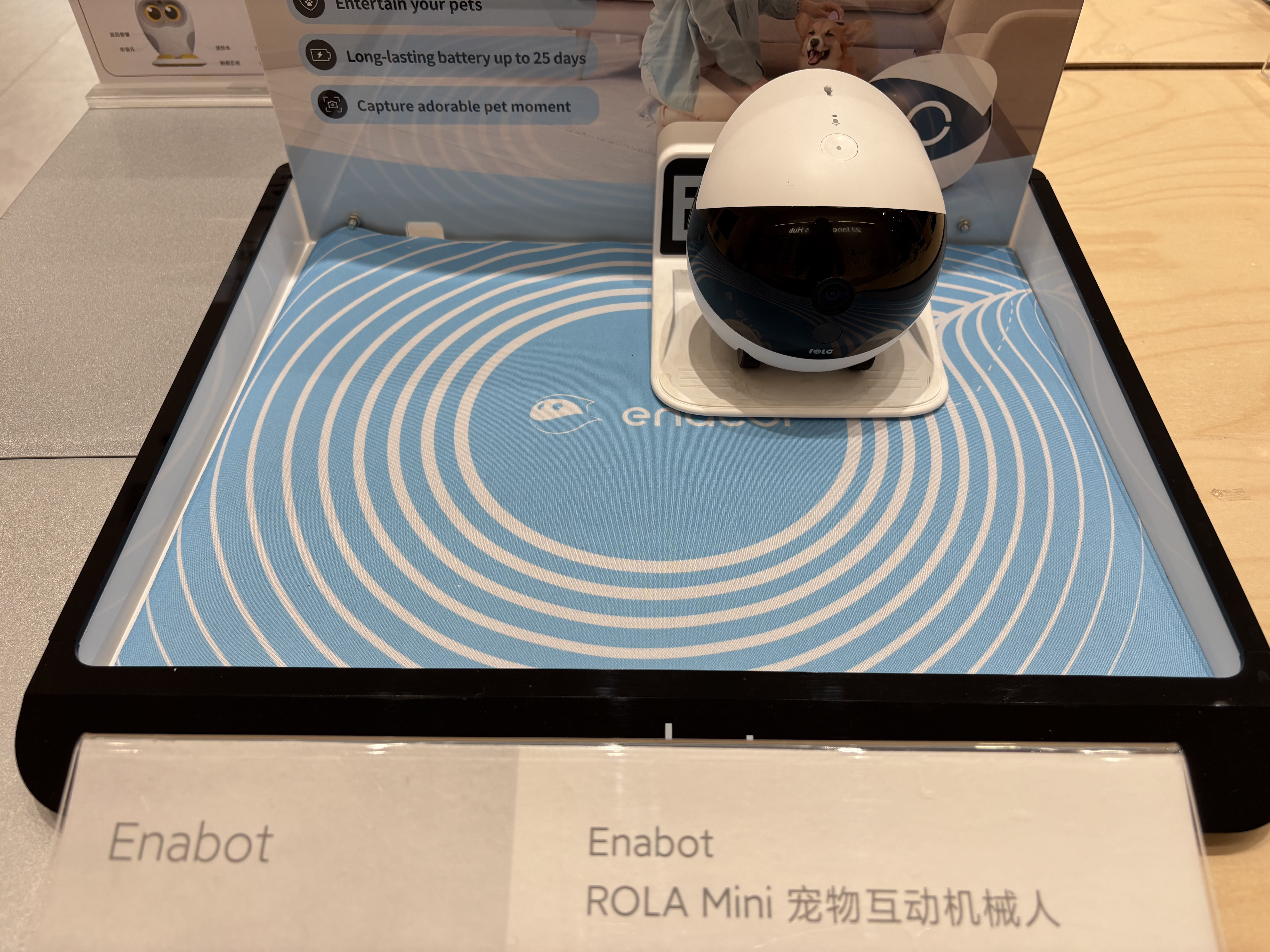 宠物互动机械人，不光机器人要陪人互动，还要陪宠物互动｜图片来源：极客公园