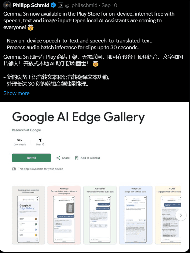 Google AI Edge Gallery