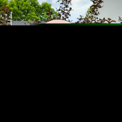 Google Photos AI