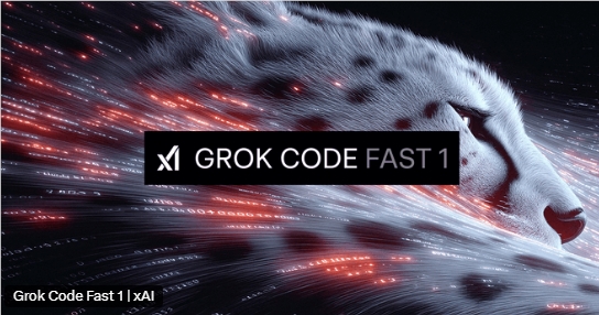 Grok Code Fast1界面