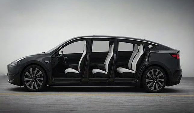 Model Y L