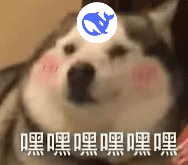 DeepSeek-R1 性能