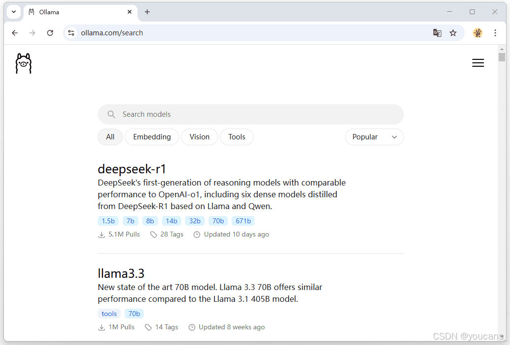 DeepSeek-R1 模型搜索