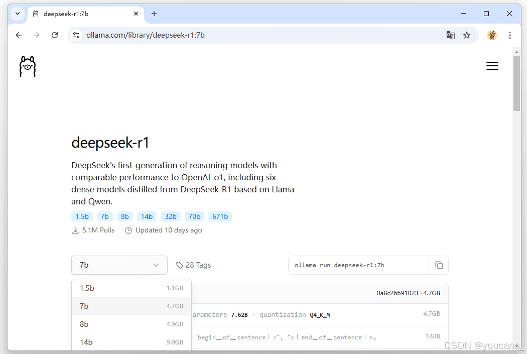 DeepSeek-R1 模型版本选择