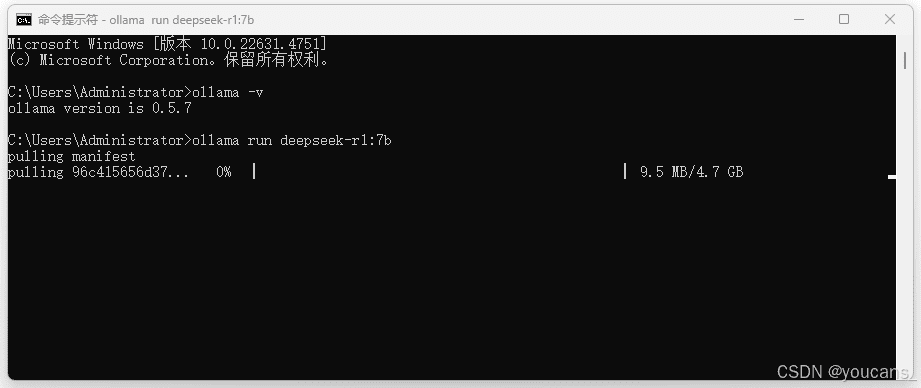 DeepSeek-R1 模型安装