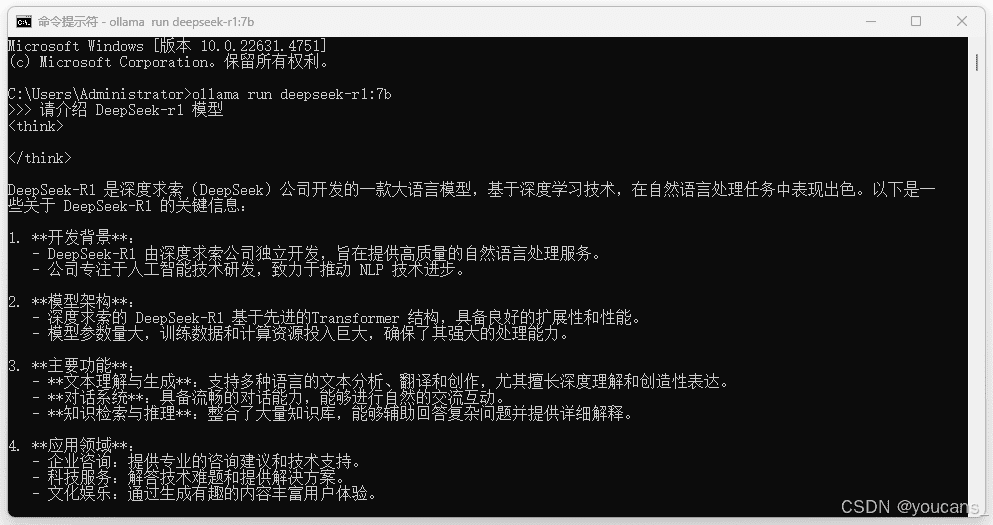 DeepSeek-R1 模型交互