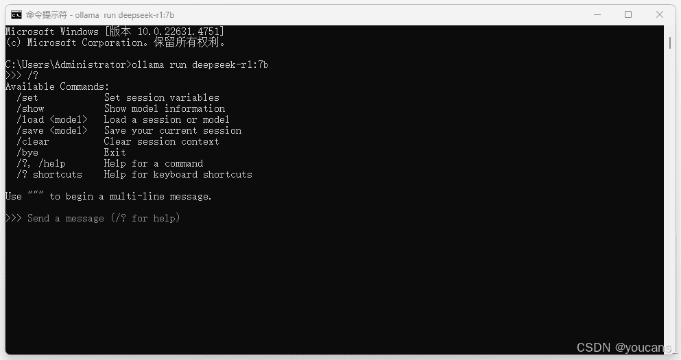 DeepSeek-R1 模型帮助信息