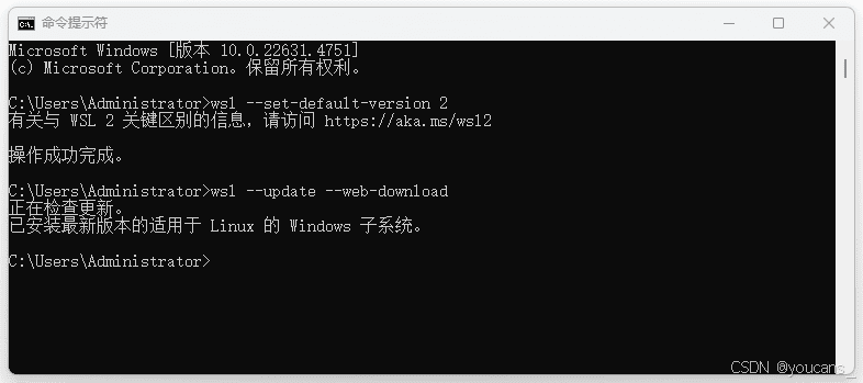 更新 WSL