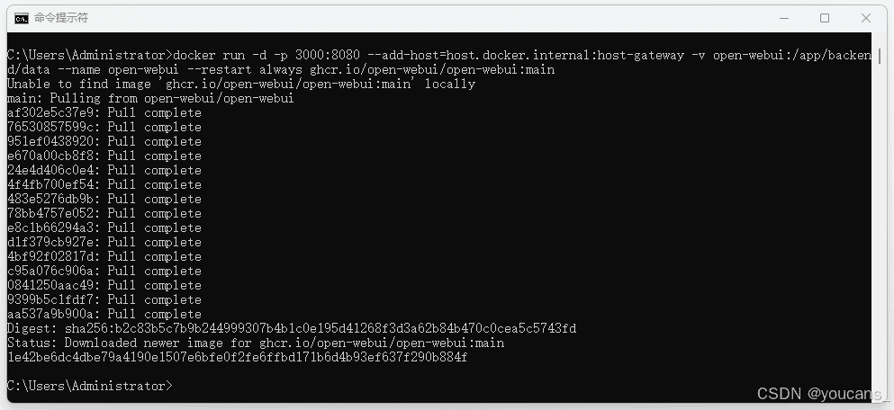 执行 Open WebUI Docker 命令