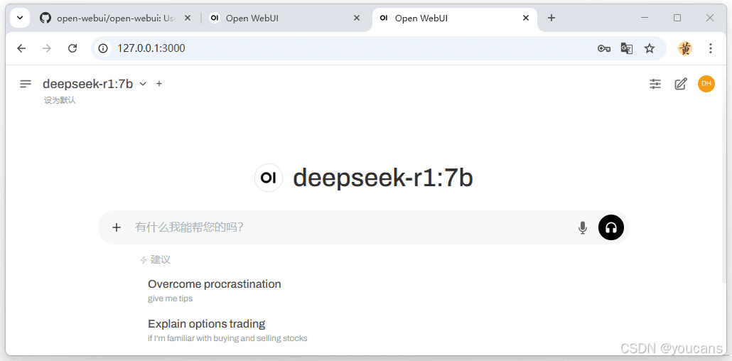 Open WebUI DeepSeek-R1 界面