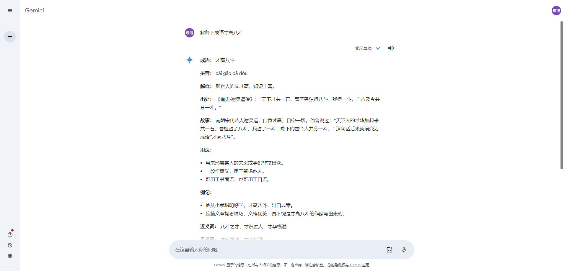 Gemini解释成语