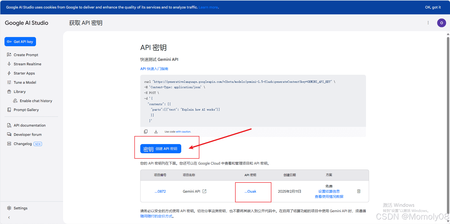 Gemini API 获取步骤二
