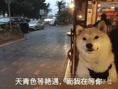 288f5563b066de9aa4b6cada49ae3ef4.png