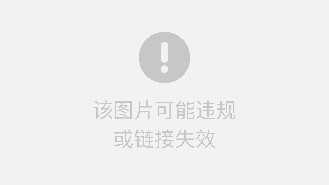 命名和提供指示的Gemini 宝石