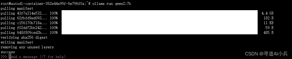 Qwen2 运行成功
