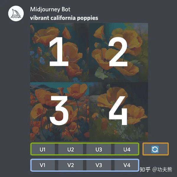 放大和变体