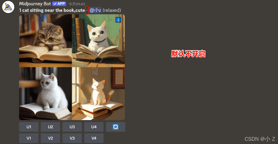 未开启 RAW Mode