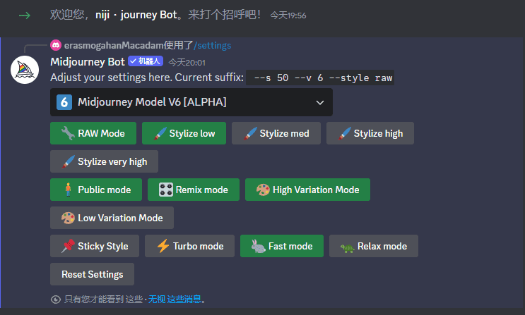 Midjourney 设置参数界面