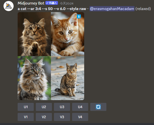 Midjourney 生成的小猫