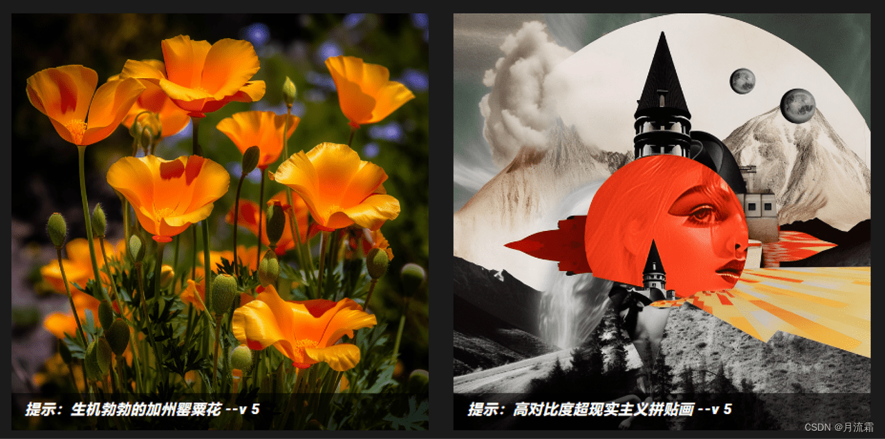 版本示例