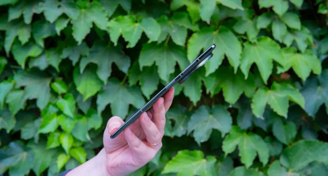 vivo X Fold5 青松配色