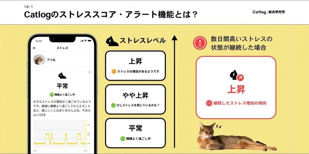 智能猫项圈