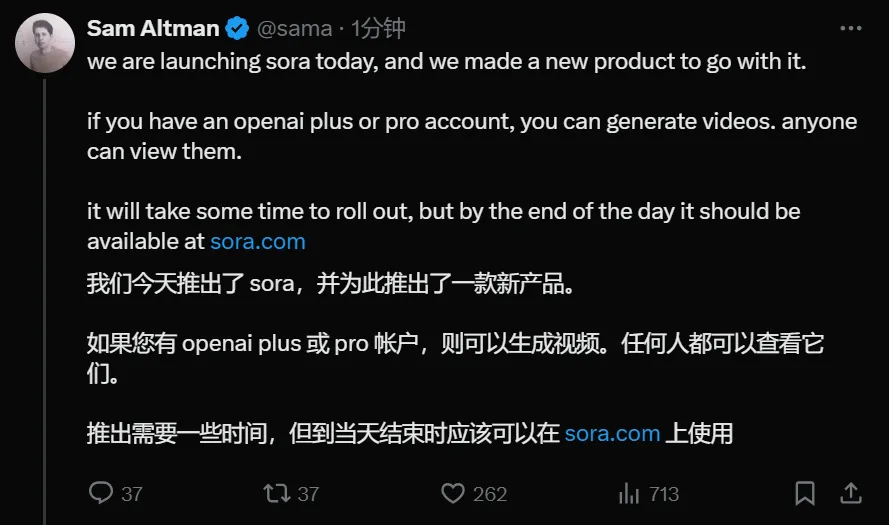 Sora的发布