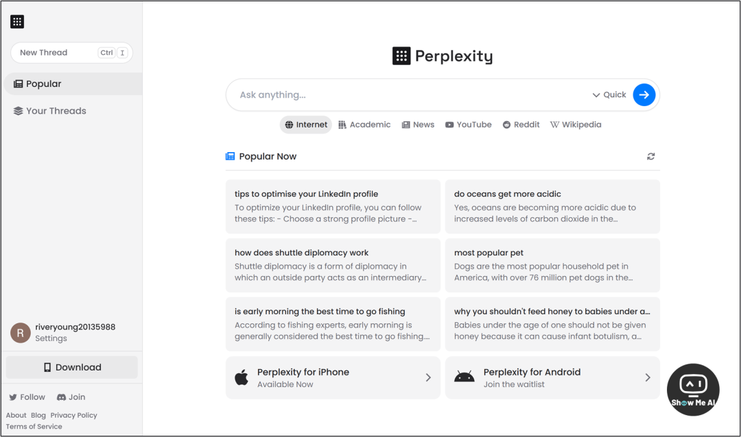 Perplexity